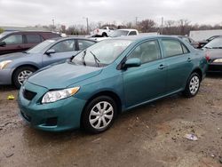 Vehiculos salvage en venta de Copart Louisville, KY: 2010 Toyota Corolla Base