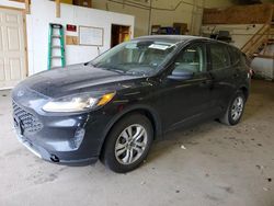 Salvage cars for sale from Copart Ham Lake, MN: 2020 Ford Escape S