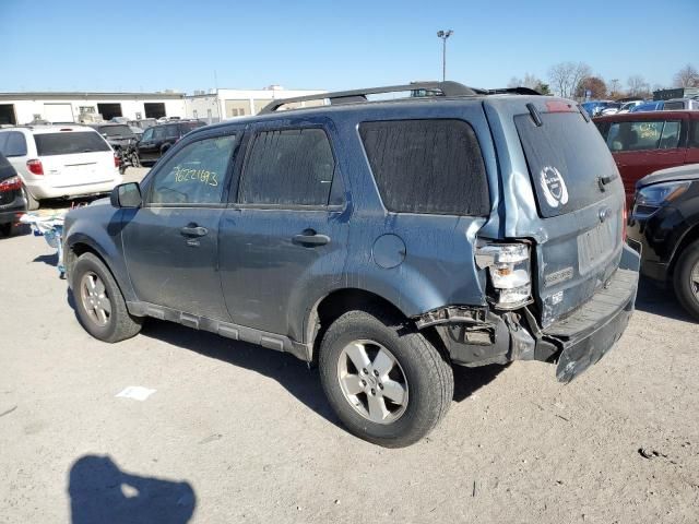 2011 Ford Escape XLT