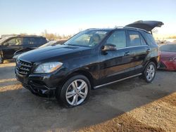 Mercedes-Benz salvage cars for sale: 2014 Mercedes-Benz ML 350 4matic