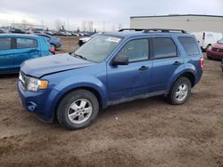 Salvage cars for sale from Copart Rocky View County, AB: 2009 Ford Escape XLT