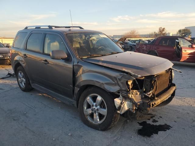 2010 Ford Escape Limited