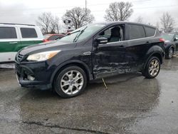 Ford Escape SEL salvage cars for sale: 2013 Ford Escape SEL