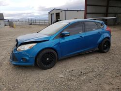 Salvage cars for sale at Helena, MT auction: 2014 Ford Focus SE