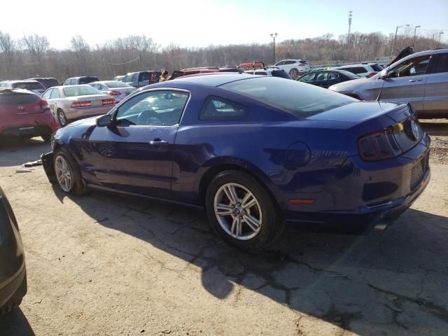 2014 Ford Mustang