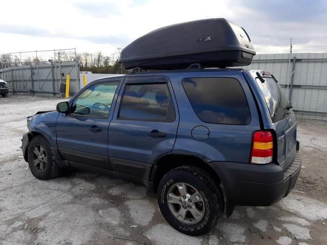 2006 Ford Escape XLT