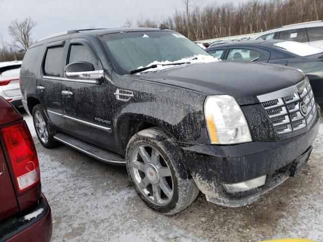 2011 Cadillac Escalade Luxury