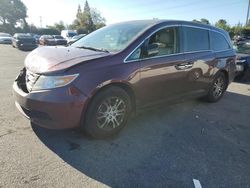 Salvage cars for sale from Copart San Martin, CA: 2013 Honda Odyssey EXL