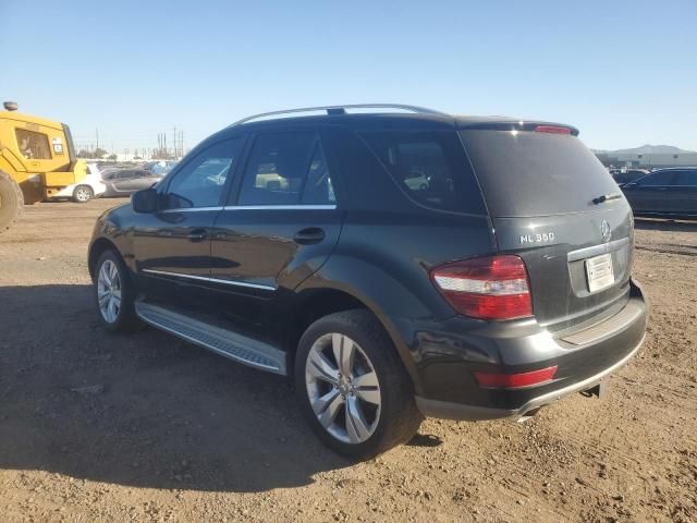 2010 Mercedes-Benz ML 350