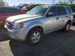 Salvage cars for sale from Copart San Martin, CA: 2009 Ford Escape XLT