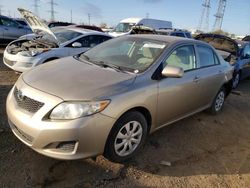 Salvage cars for sale at Elgin, IL auction: 2010 Toyota Corolla Base