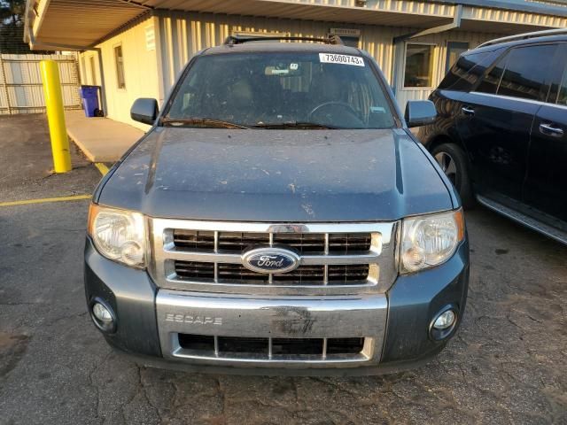 2011 Ford Escape Limited