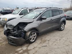 Salvage cars for sale at Indianapolis, IN auction: 2014 Ford Escape SE