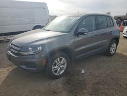 Volkswagen Tiguan S salvage cars for sale: 2013 Volkswagen Tiguan S