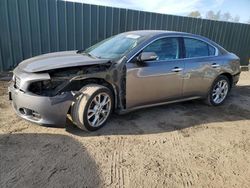 Salvage cars for sale at Finksburg, MD auction: 2014 Nissan Maxima S