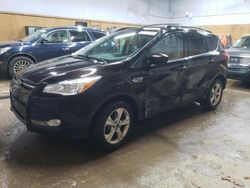 Salvage cars for sale from Copart Kincheloe, MI: 2013 Ford Escape SE