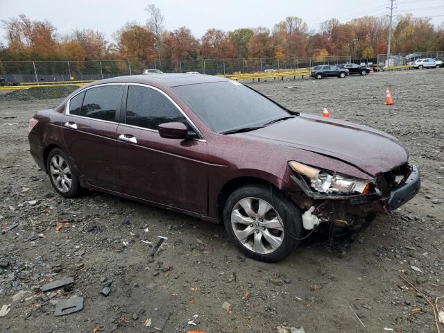 2010 Honda Accord EXL