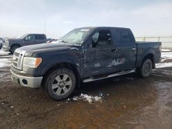 Salvage cars for sale at Helena, MT auction: 2009 Ford F150 Supercrew