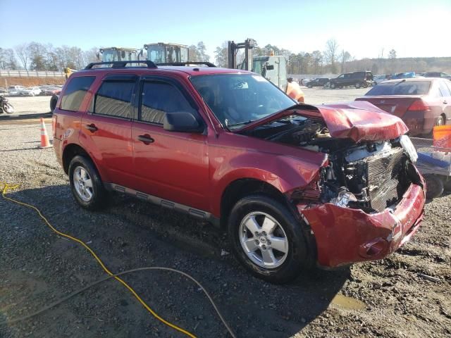 2009 Ford Escape XLT