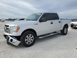 Vehiculos salvage en venta de Copart Arcadia, FL: 2013 Ford F150 Supercrew