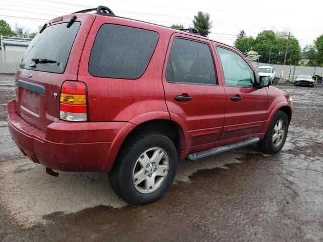 2007 Ford Escape XLT