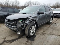 Salvage cars for sale from Copart Marlboro, NY: 2010 Honda CR-V EX