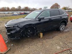 Salvage cars for sale at Hillsborough, NJ auction: 2023 Honda CR-V EXL