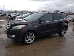 Salvage cars for sale at Louisville, KY auction: 2014 Ford Escape Titanium