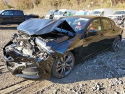 Salvage cars for sale at Marlboro, NY auction: 2023 Acura TLX A-Spec