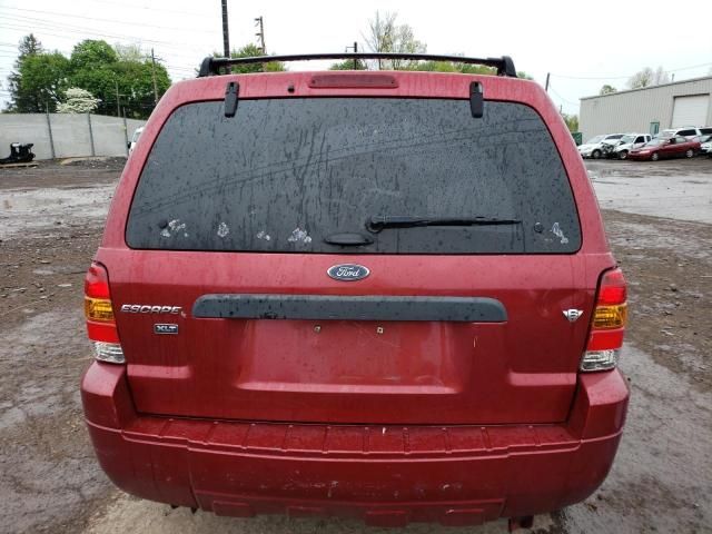 2007 Ford Escape XLT