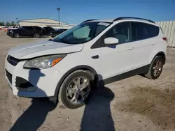 Salvage cars for sale at Houston, TX auction: 2013 Ford Escape SE