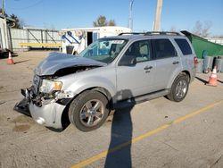 Salvage cars for sale from Copart Dyer, IN: 2009 Ford Escape XLT