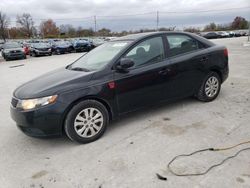 Salvage cars for sale at Lawrenceburg, KY auction: 2013 KIA Forte EX