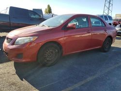 Toyota Corolla salvage cars for sale: 2009 Toyota Corolla Base