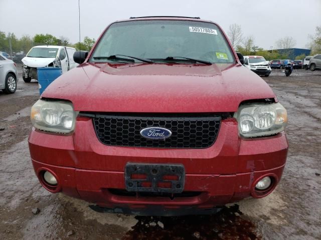 2007 Ford Escape XLT