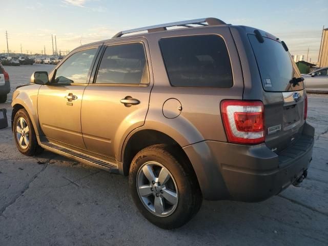 2010 Ford Escape Limited