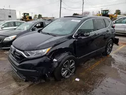 Salvage cars for sale at Chicago Heights, IL auction: 2022 Honda CR-V EX