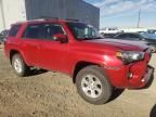 2018 Toyota 4runner SR5/SR5 Premium