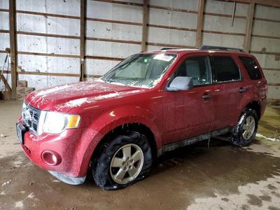 2010 Ford Escape XLT for sale in Columbia Station, OH