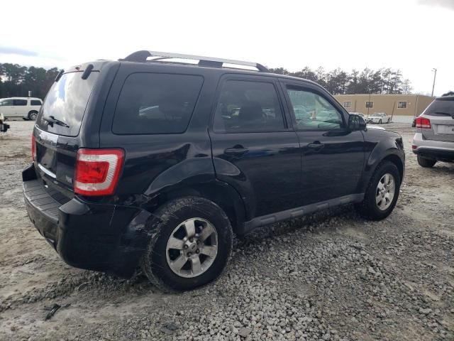 2010 Ford Escape Limited