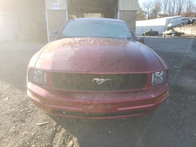 2005 Ford Mustang