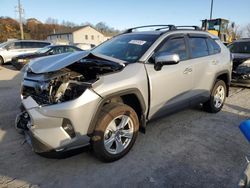 Salvage cars for sale from Copart York Haven, PA: 2019 Toyota Rav4 XLE