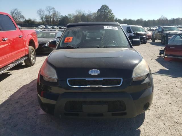 2010 KIA Soul +