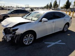 Lexus ES 300H salvage cars for sale: 2015 Lexus ES 300H