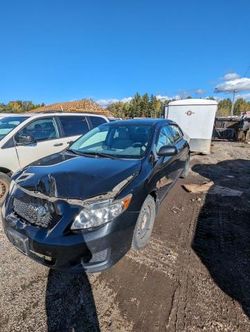 Salvage cars for sale from Copart London, ON: 2009 Toyota Corolla Base