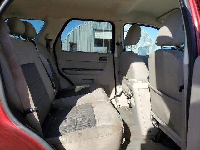 2008 Ford Escape XLT