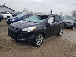 Ford Escape salvage cars for sale: 2016 Ford Escape SE