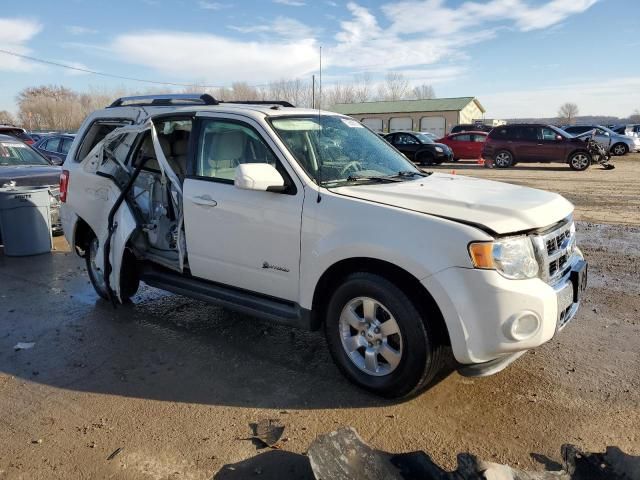 2010 Ford Escape Hybrid