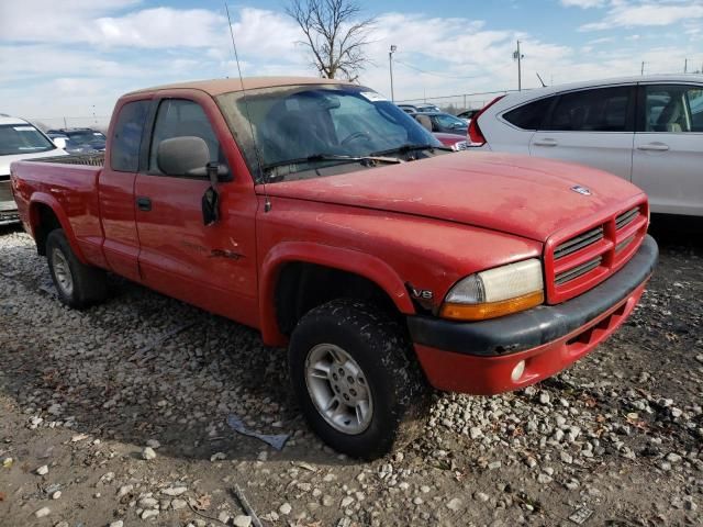 2000 Dodge Dakota