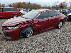 2020 Toyota Camry LE for sale in Chalfont, PA